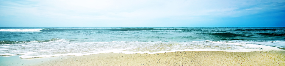 2020 Spring Festival Wishes and Vacation